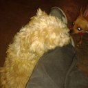 Jose Servando Galvan - @Alfaro2Jose - Twitter