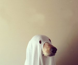 ♥
