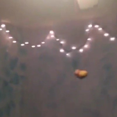 im the potato that flew around the room before you came