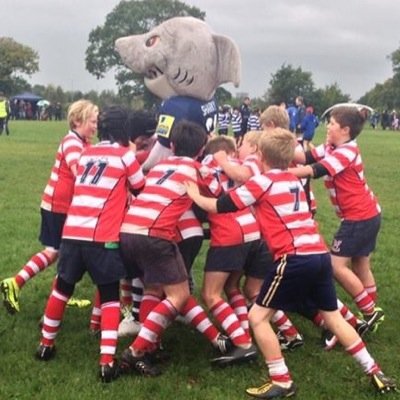 Sarah Baines Profile