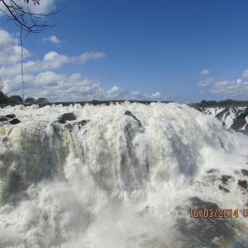 denice156's profile picture. 