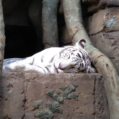 NataliNatap13's profile picture. 