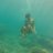 AnaM_Rodri's profile image