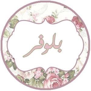 pullover_tu's profile picture. متجر بلوفر الطايف انستقرام : @pullover_tu_accessories