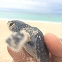 Guillermo Prado - @_gpradov - Twitter