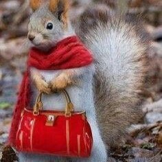 giving you the hottest gossip from outside.
xoxo gossip squirrel
