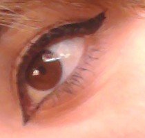 papillonSamung's profile picture. 