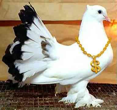 mjml5540's profile picture. 