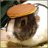 secovohatohe's profile image