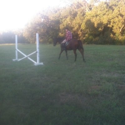 Work• gym•horses