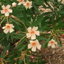 Nicky Richards💙 - @RichardsNicky - Twitter