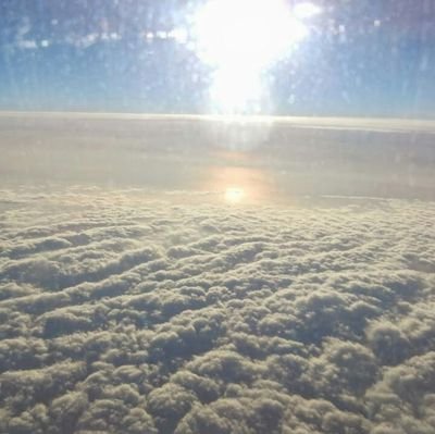 teriz74's profile picture. 