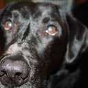 judy jablonski - @judyjablonski1 - Twitter