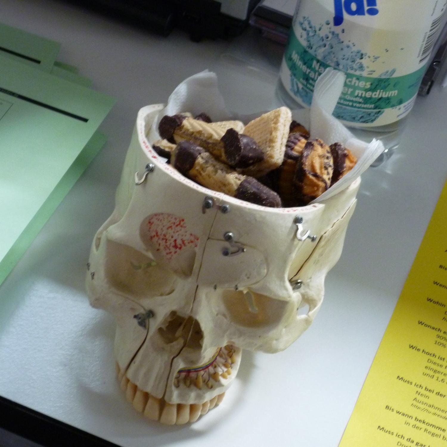 Knowgenating's profile picture. psYchOLOgist | PhD student | Stresspert | part-time nerd | https://t.co/7ZGFGiOyPs | https://t.co/5m7xymPM4z