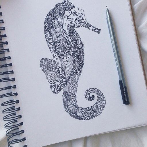 NotebookForAll's profile picture. 