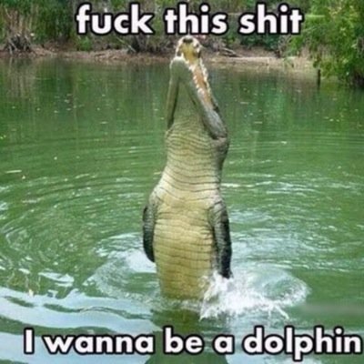 claudiu2311's profile picture. 