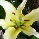 Cathy Roach - @bouyant - Twitter