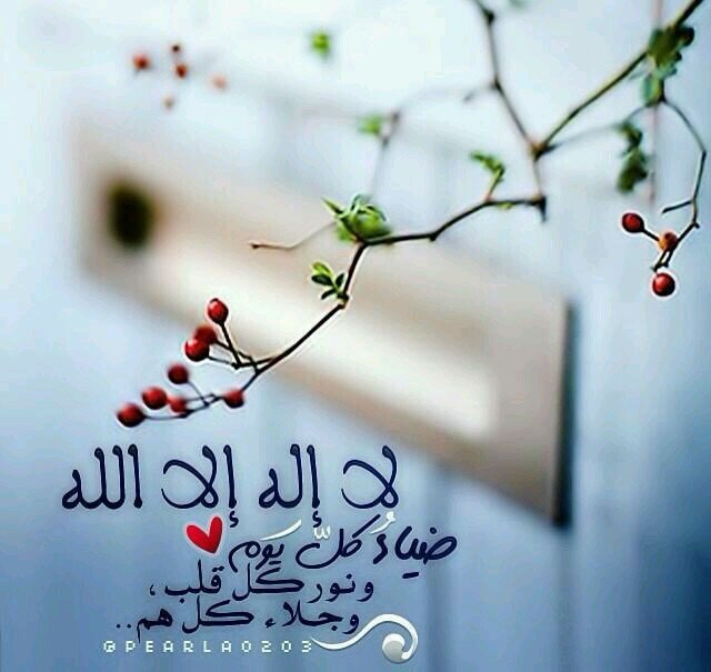 ‏‏‏أي كلمة♥♥
 تقرأه من حسابي بإذن
 الله رح تنفعك يوم القيامة
