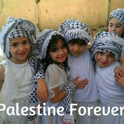 Passionate about #FreePalestine! News junkie; finance, politics, etc. Despise injustices. Habit supported by corporate international tax consulting.
