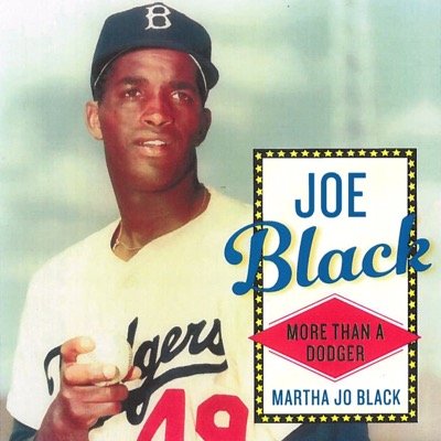 Work for the Chicago White Sox and I co-wrote  Joe Black, More than a Dodger; my father’s life story. The book was published Feb. 1, 2015.