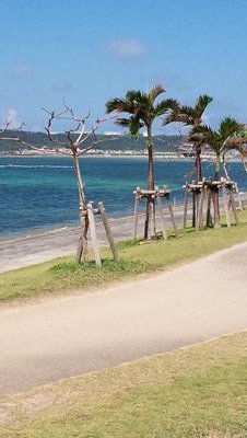 KimuNaho30's profile picture. 