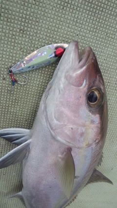 kenta19740712's profile picture. 暇さえ有れば釣りをしてます‼