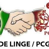 SGLINGEPCG's profile picture. Waterpolovereniging