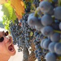 Arthur Law (@alaw) 's Twitter Profile