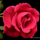 Lorrie Ellis - @Lorrie220 - Twitter