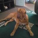 Steven Paterson - @stevenpaterso15 - Twitter