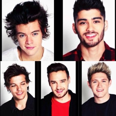1D4everr | proud directioner | i follow back