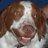 uppermerion's profile image