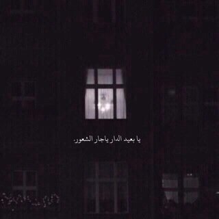 ‏ممثل ، كاتب ، اتعاطى النوم بشراهه ، امي امريكية لم اراها منذ سن الخامسه ، أؤمن بأشياء كثيرة منها انه بأمكانك الكذب هنا على ناس لا تعرفهم كالذي فعلته للتو !!