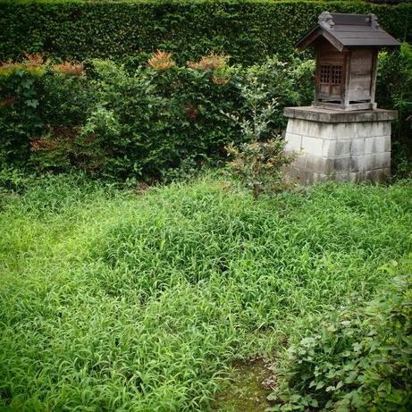 やっぱり私たちは日本人なんです。