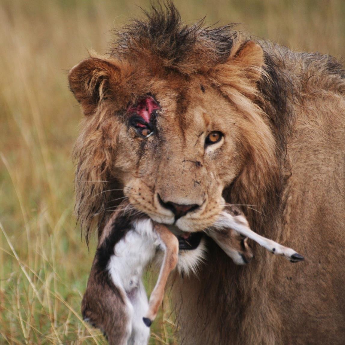 Marazzi125's profile picture. 