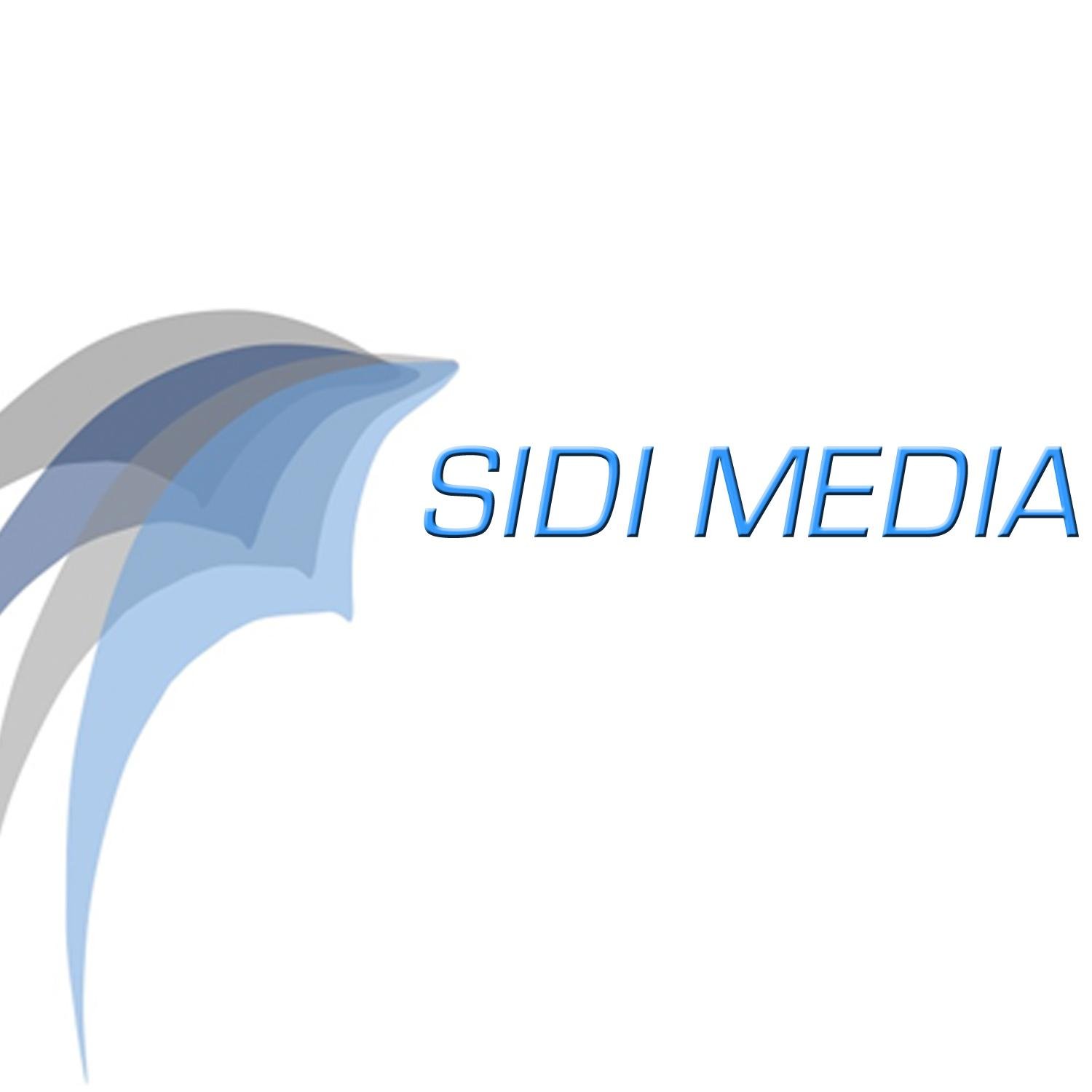 Sidi Networks it ́s an international production and distribution company. At the moment it has a few films and tv series in development, and some produced.