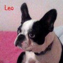 Barbara Cannon - @cannonbarb - Twitter