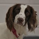 Heather Low - @heather30516224 - Twitter