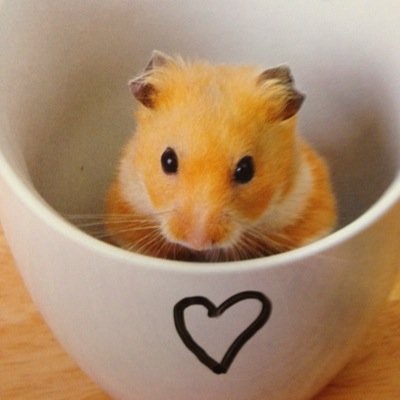 Pollykala1970's profile picture. Returned home traveller, searcher of meaning and sanity in a mad world, happy, curious , open minded. wife in training to the most patient man alive .