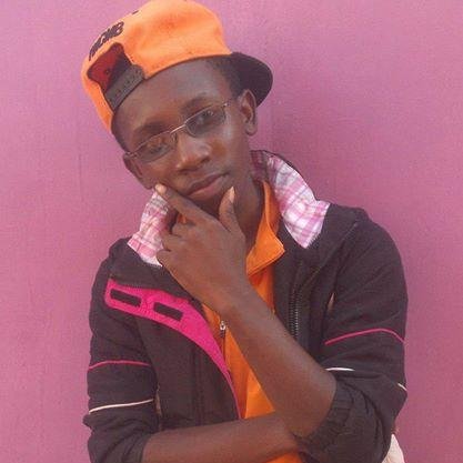 Programmer,,IT Technician,,Blogger,,C.E.O of Decoull Inc.