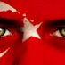 necip ersoy (@necip_ersoy) Twitter profile photo
