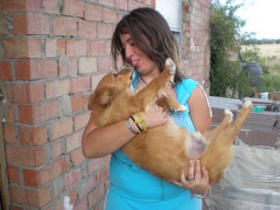 sarayvp93's profile picture. Técnico superior de publicidad y marketing. Enamorada de la vida aunque a veces duela