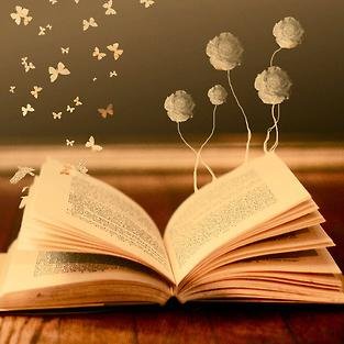 O grupo Escritores Nacionais surgiu para a disseminação, divulgação e apreciação da literatura brasileira, porque nós somo tão bons quanto os escritores de fora