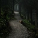 arianna mcgee - @Mcgee41Mcgee - Twitter