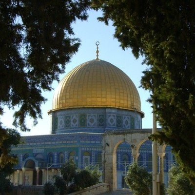 talalkanan's profile picture. هذا الوقت سيمضي