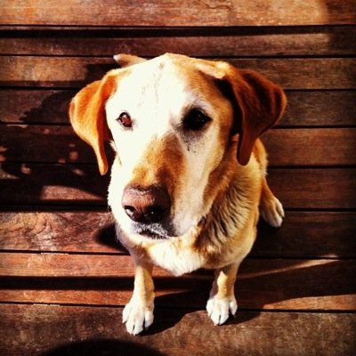 jakrollin's profile picture. 