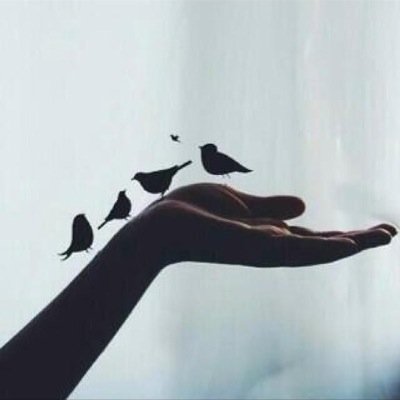 Balosimy's profile picture. طفولة مبكرة ..كلية التربية بشقراء. انعكِس على الأسطُح بإيجابيّة