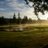 myrtlepointgolf's profile image