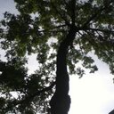 Anna Louis - @EmmyVacamp - Twitter