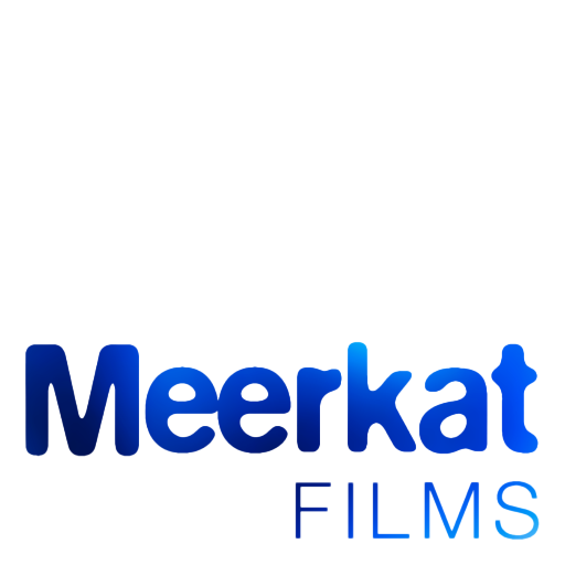 MeerkatFilmsUK's profile picture. A Newcastle-based film company, we also provide production services for independent filmmakers. Visit our website for more info!